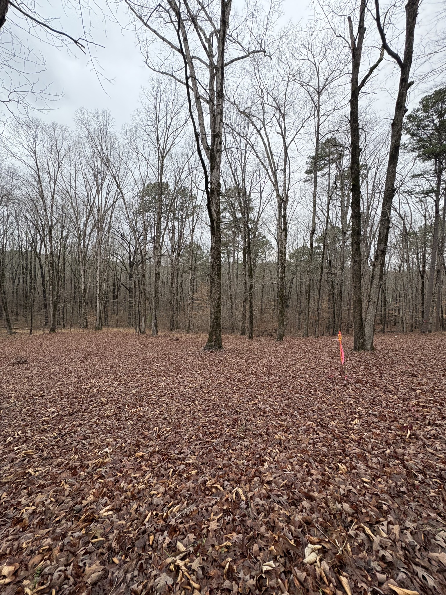 2160 Bruton Branch Road Savannah, TN 38372 - Photo 5 of 8