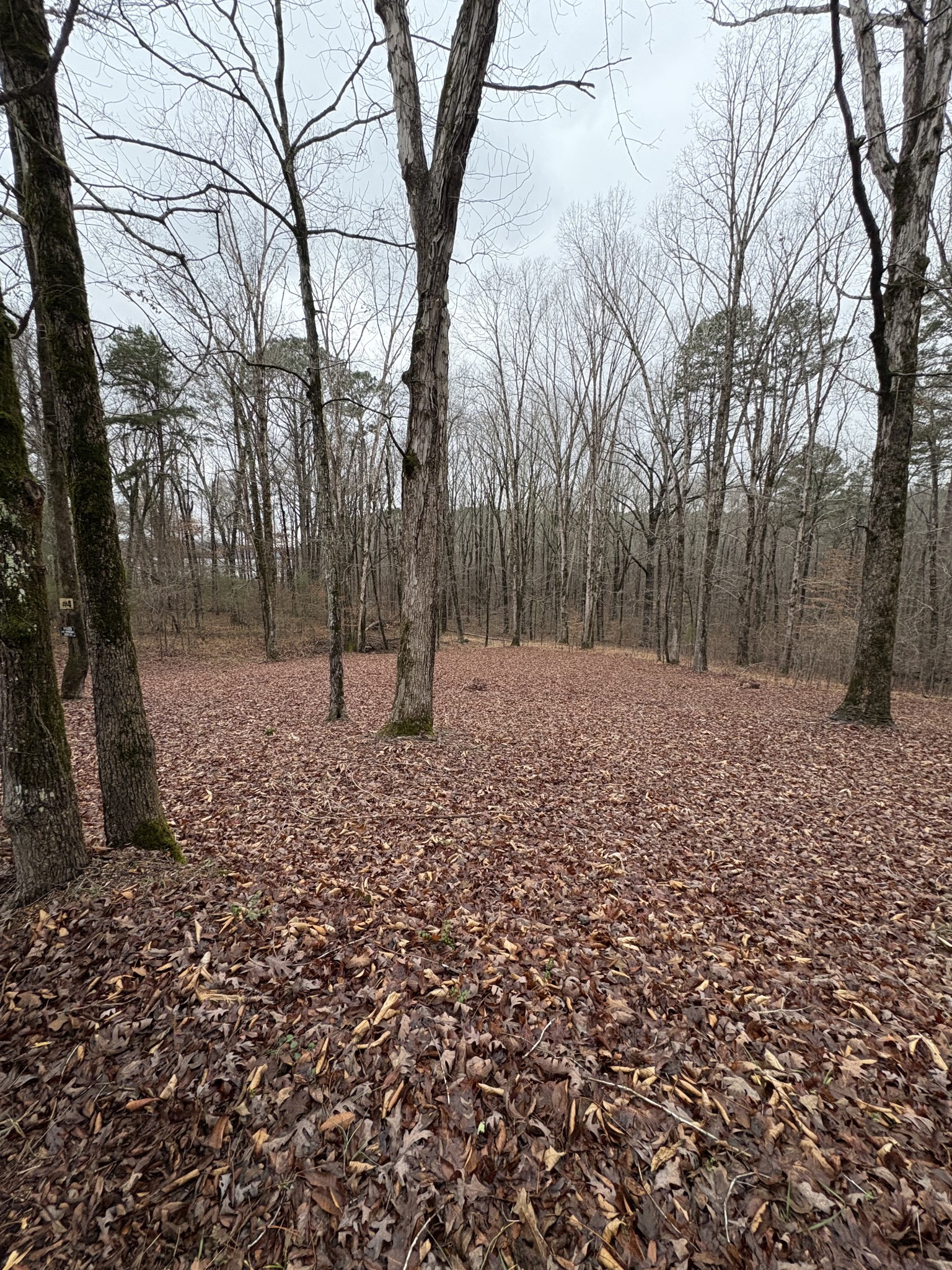 2160 Bruton Branch Road Savannah, TN 38372 - Photo 6 of 8