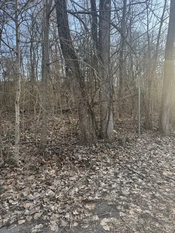 a view of a dry yard with trees