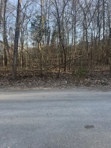 a view of dirt yard with a large tree