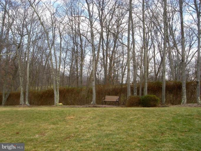 13211 Jasper Road Fairfax, VA 22033 - Photo 24 of 30 Back yard