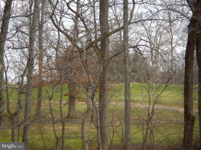 13211 Jasper Road Fairfax, VA 22033 - Photo 26 of 30 Golf Course View