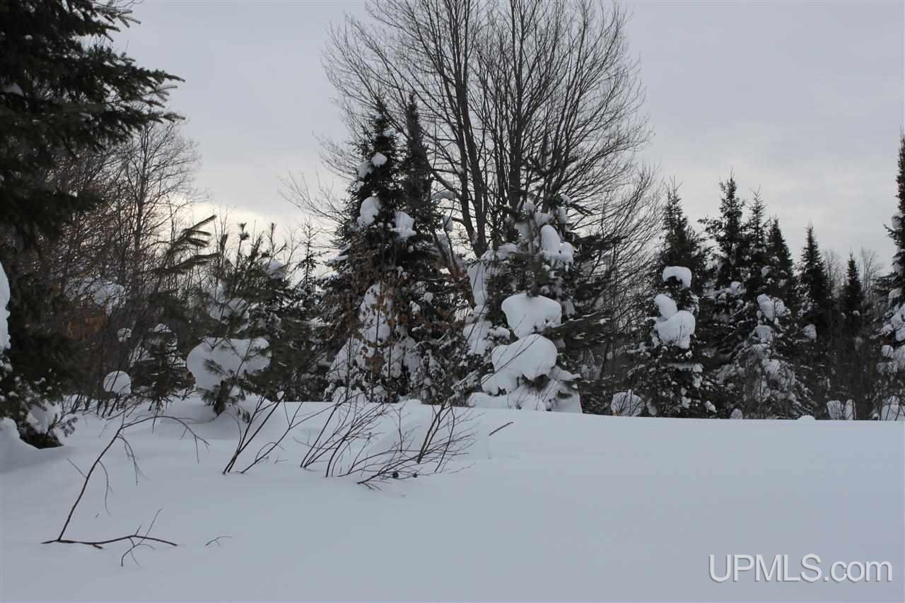 Tbd Emily Lake Road Toivola, MI 49965 - Photo 18 of 36 Gallery Image 18