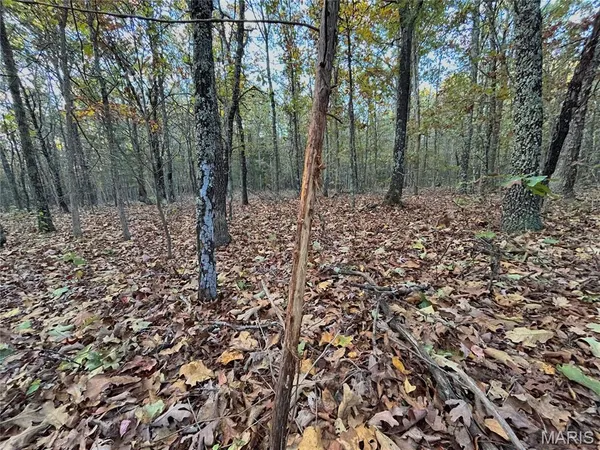 $61,900 | 2 County Road 4215, Salem, MO 65560