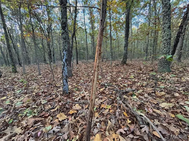 $64,900 | 2 County Road 4215, Salem, MO 65560