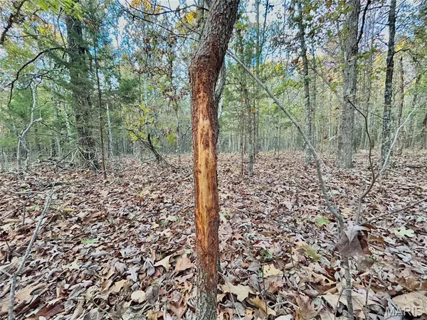 $61,900 | 2 County Road 4215, Salem, MO 65560