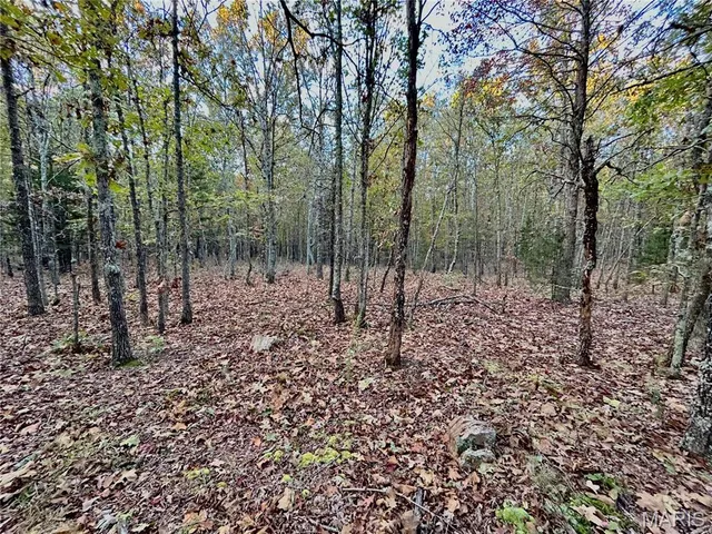 $64,900 | 2 County Road 4215, Salem, MO 65560