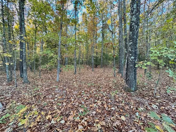 $61,900 | 2 County Road 4215, Salem, MO 65560