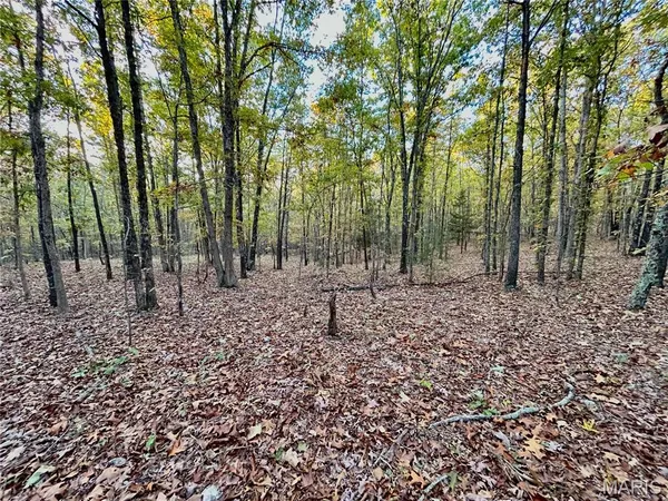 $61,900 | 2 County Road 4215, Salem, MO 65560