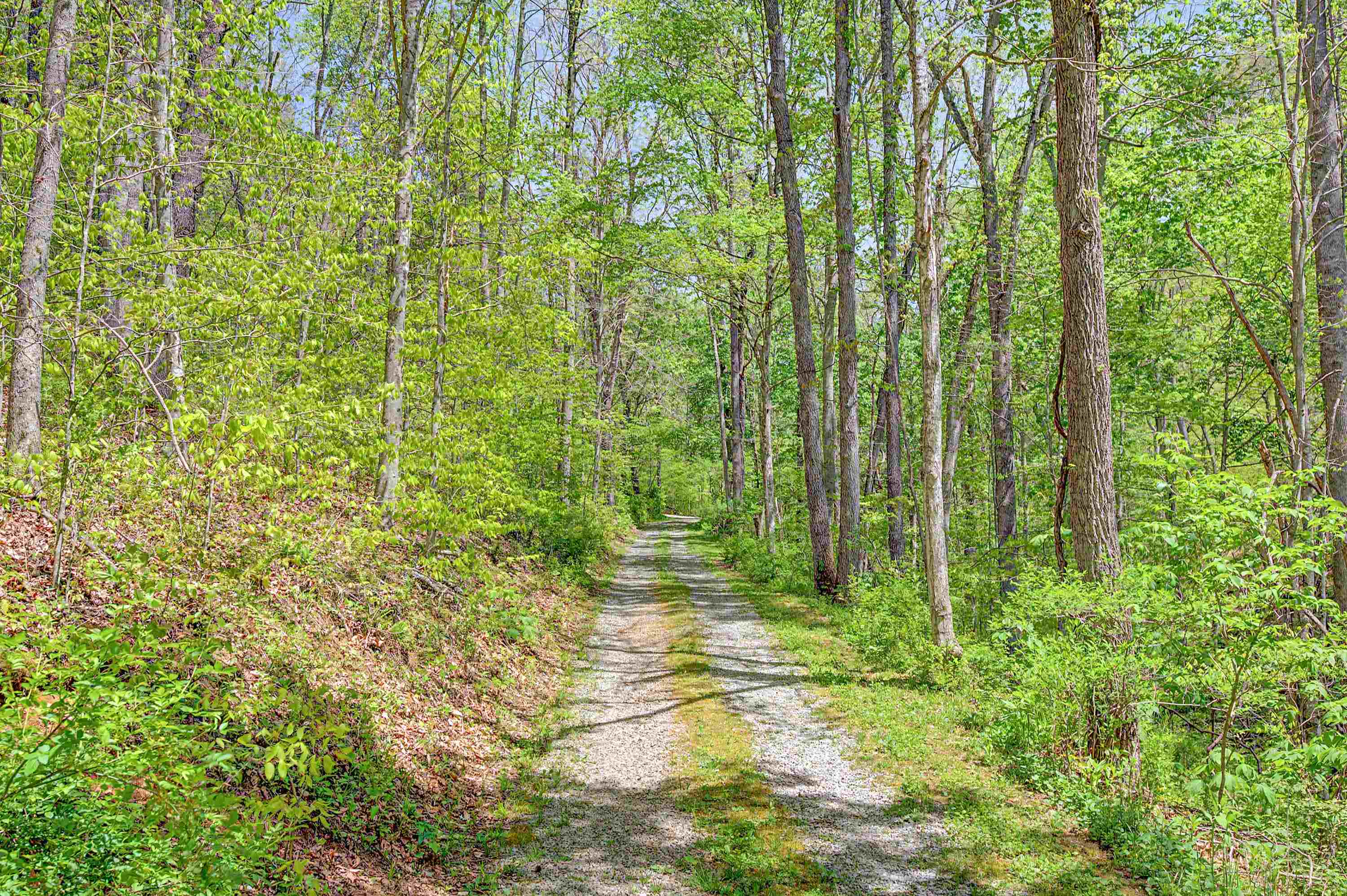 805 Sunset River Road Ceres, VA 24318 - Photo 11 of 78 Gallery Image 11
