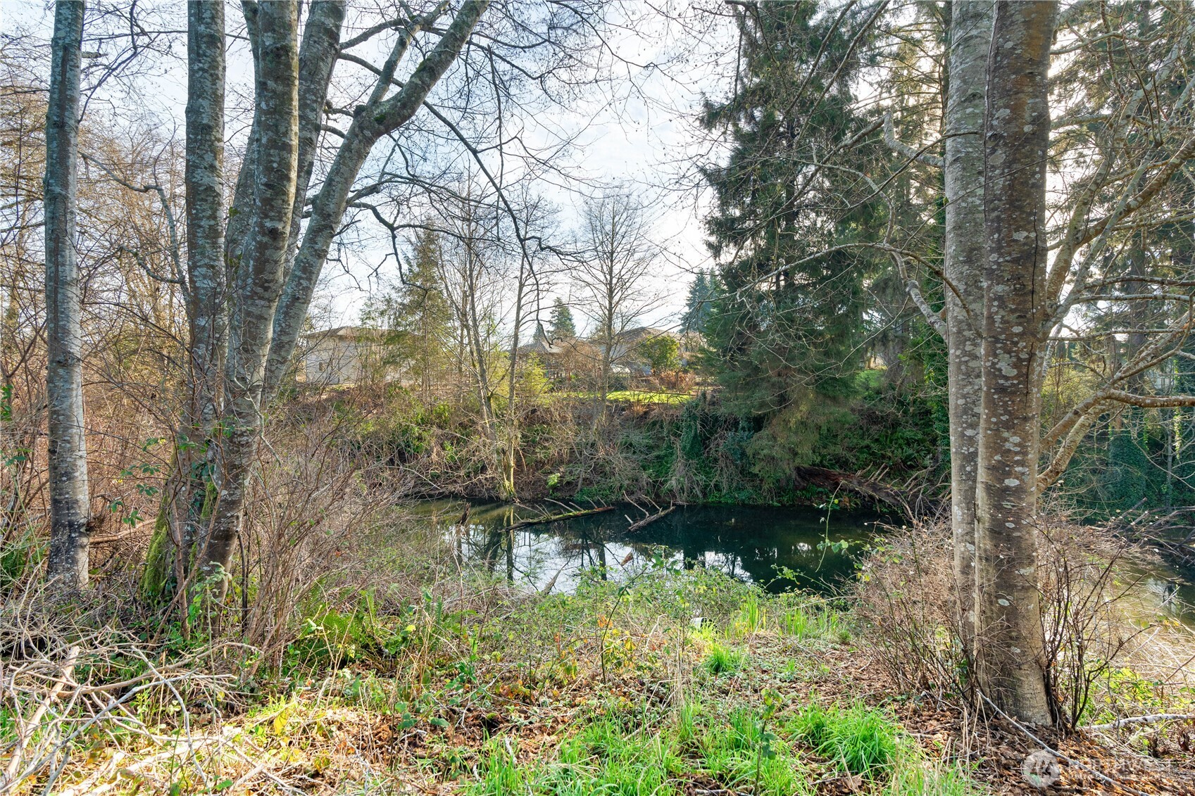 214 Talbot Street North Montesano, WA 98563 - Photo 26 of 40 a backyard of a house with lots of green space