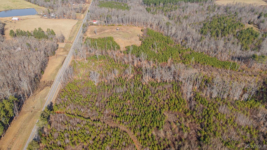 0 The Falls Road Crewe, VA 23930 - Photo 16 of 24 a view of a yard
