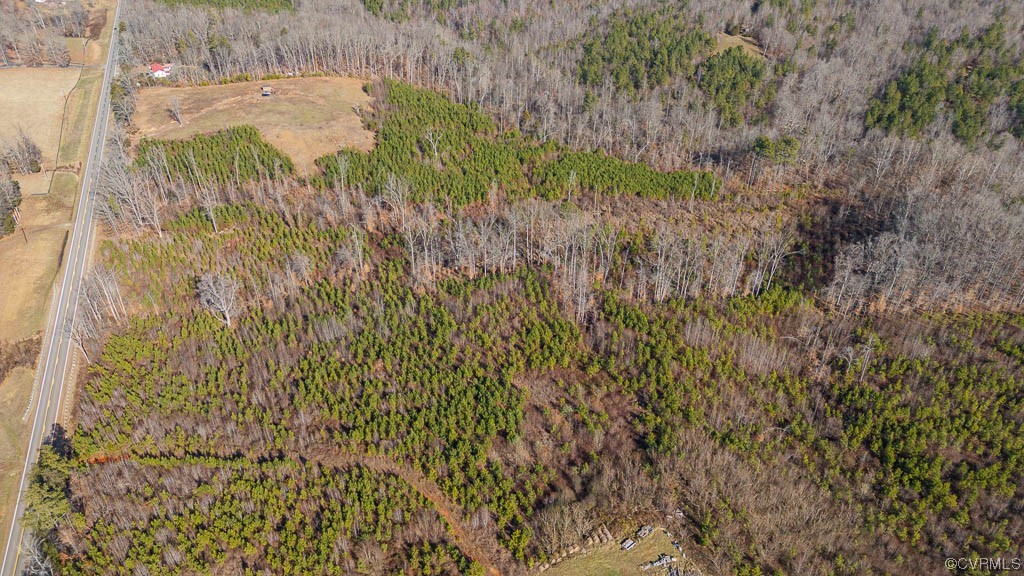 0 The Falls Road Crewe, VA 23930 - Photo 17 of 24 a view of a garden with a tree