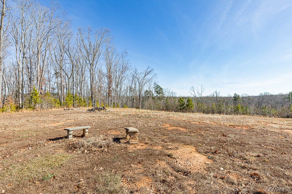 0 The Falls Road Crewe, VA 23930 - Photo 22 of 24 a view of a yard with trees