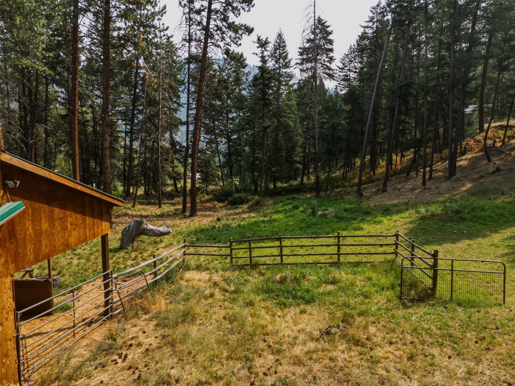 12850 Mill Creek Road Lolo, MT 59847 - Photo 49 of 80 Gallery Image 49