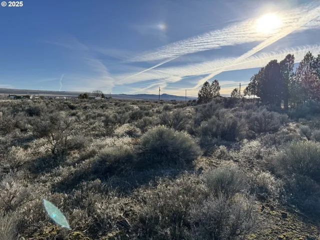 a view of a dry yard