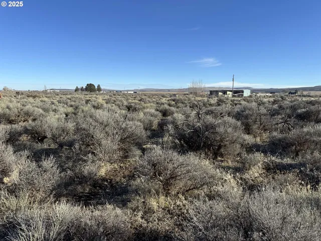 a view of a houses of a yard