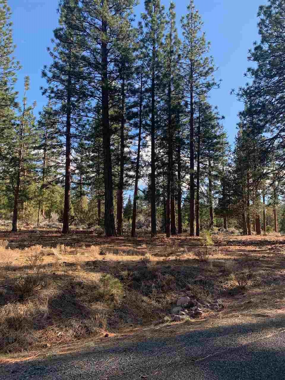 Lot 8 Marmot Road Weed, CA 96094 - Photo 4 of 6 Gallery Image 4