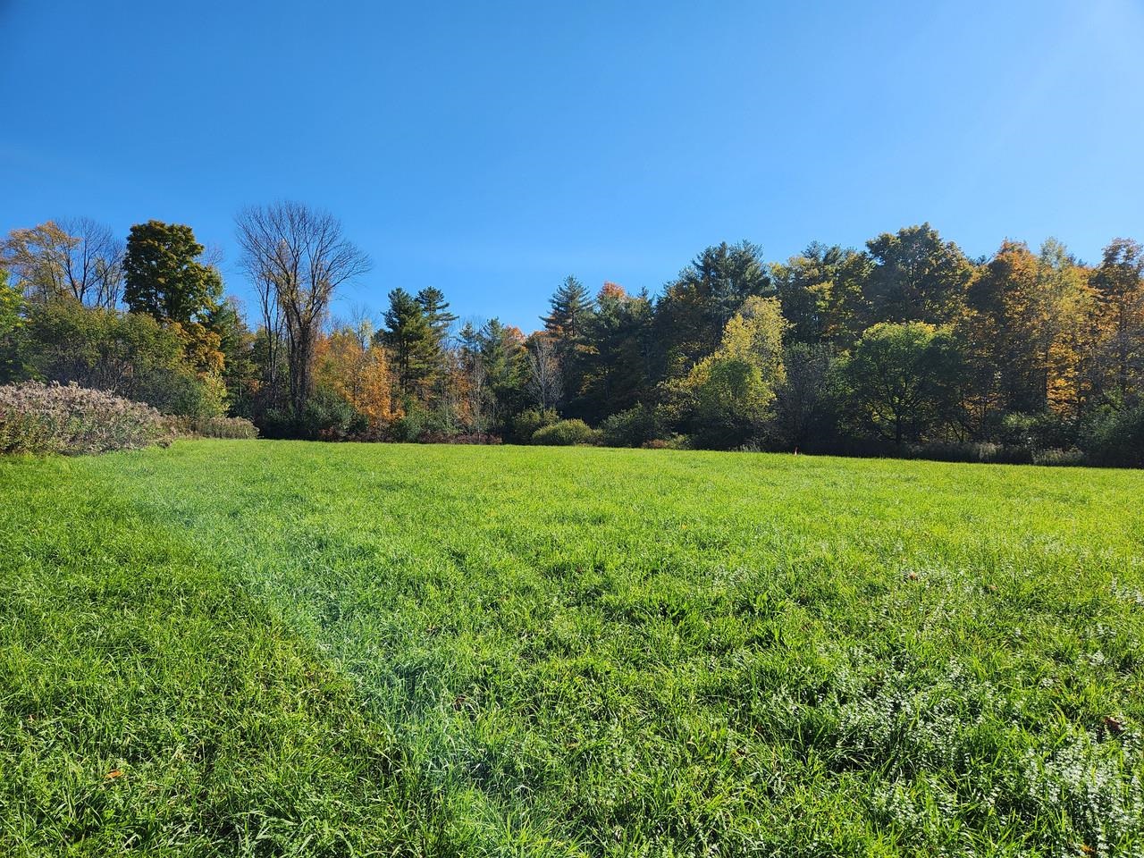 237 Shackett Road Leicester, VT 05733 - Photo 5 of 25