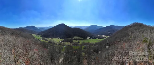 a view of a lush green field with mountains in the background