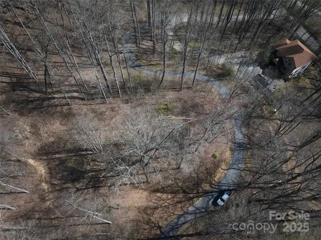 a view of a dry yard with trees