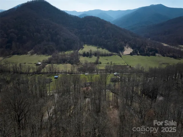 a view of a back yard