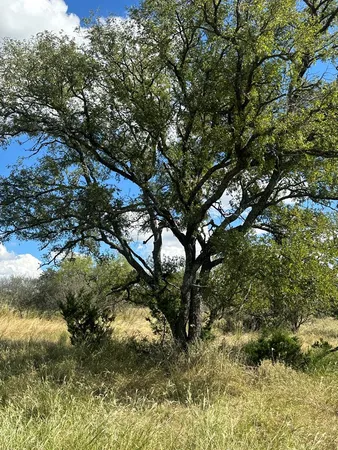 $159,000 | 1981 Kothmann Road, Art, TX 76820