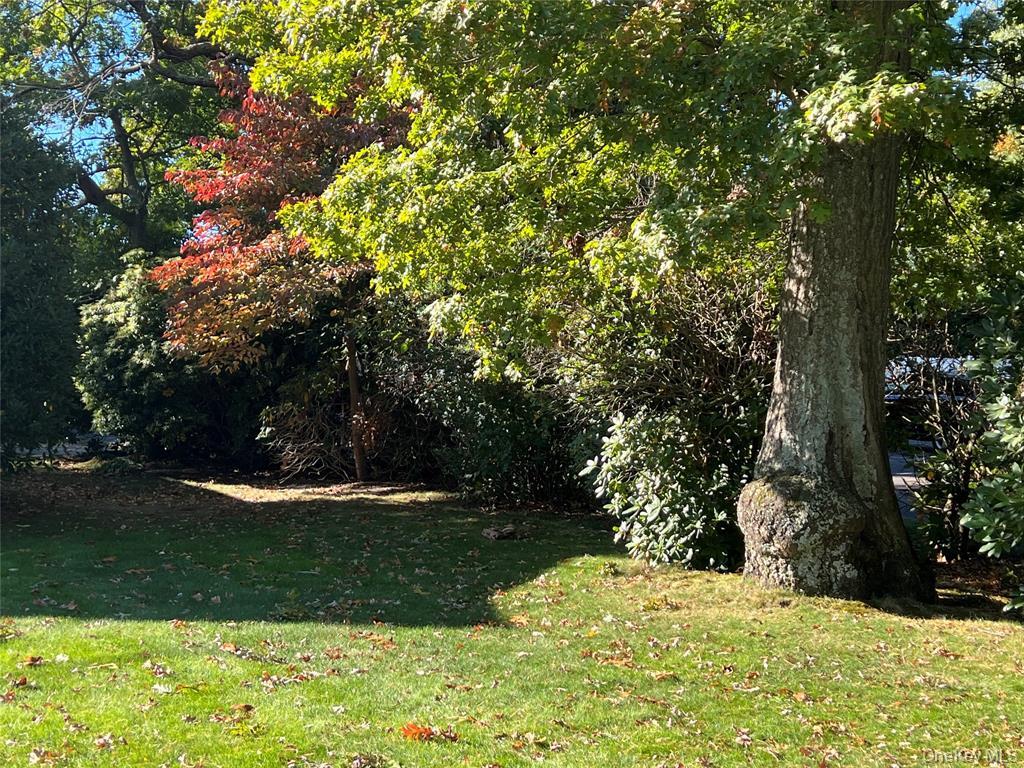 2566 Middle Country Road Centereach, NY 11720 - Photo 23 of 31 a view of yard with green space
