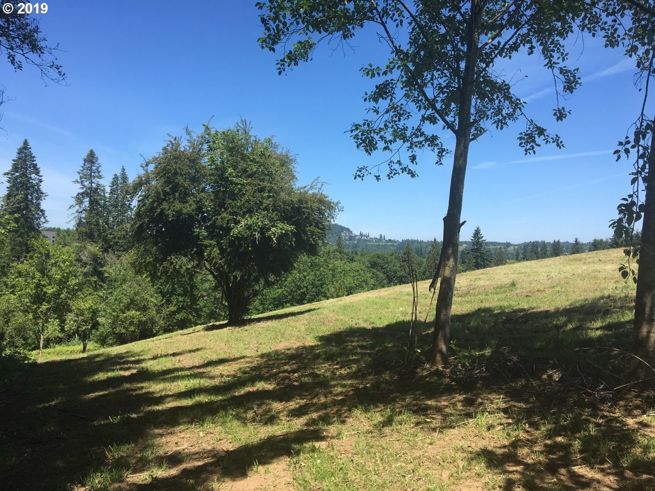 0 Southwest Ek Road West Linn, OR 97068 - Photo 5 of 9 Gallery Image 5