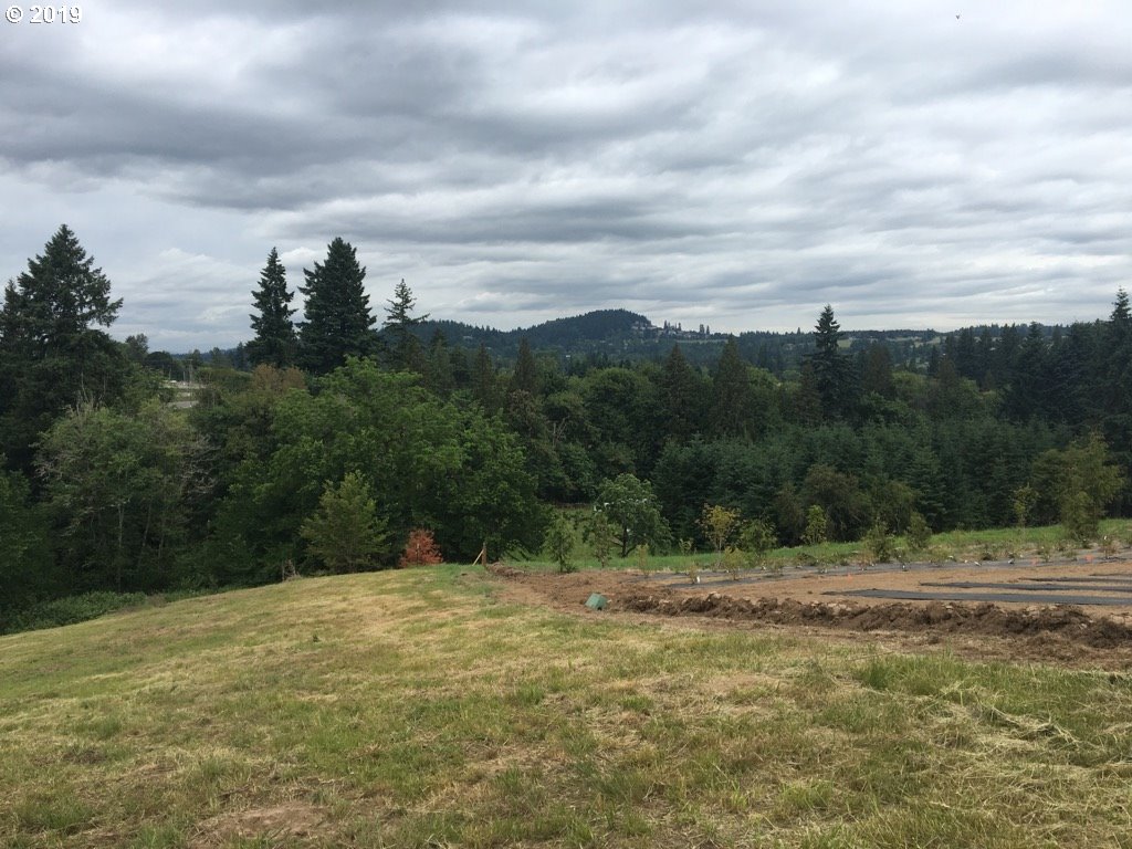 0 Southwest Ek Road West Linn, OR 97068 - Photo 9 of 9 Gallery Image 9