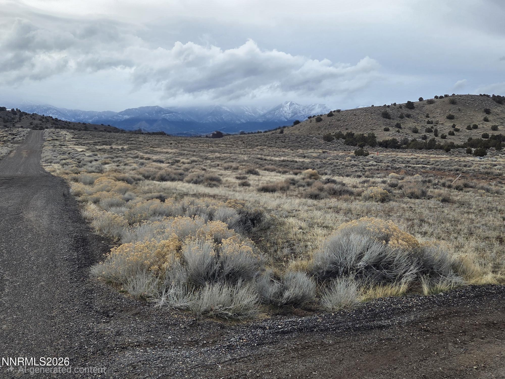 0 Juniper Road Gardnerville, NV 89410 - Photo 4 of 4 Juniper winter