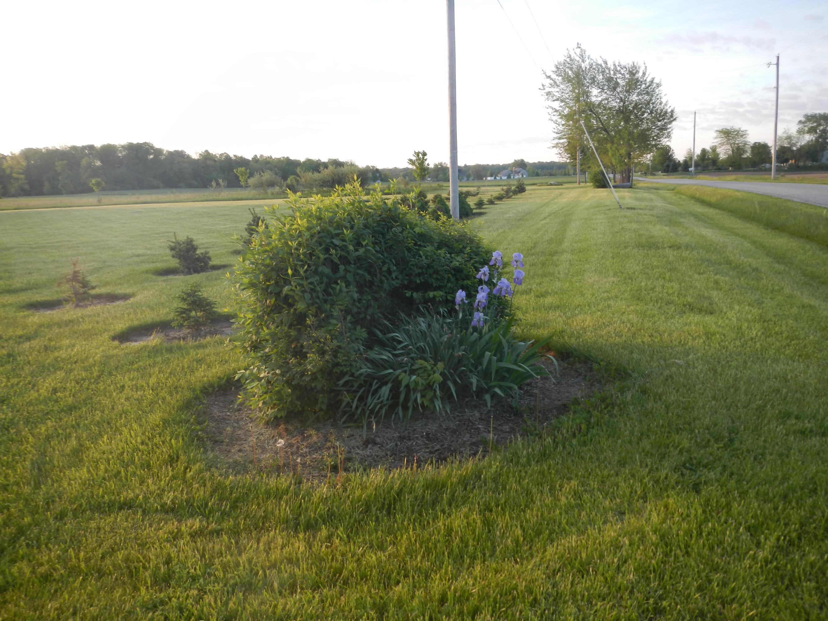 1435 Val Wilson Road London, OH 43140 - Photo 23 of 27 Gallery Image 23