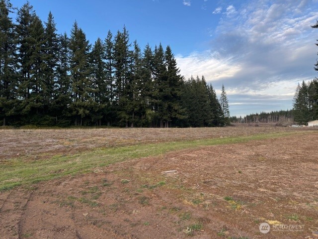 1 Frogner Road Chehalis, WA 98532 - Photo 3 of 12 Gallery Image 3