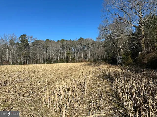 $149,000 | 0 Bivalve Lodge Road, Bivalve, MD 21814
