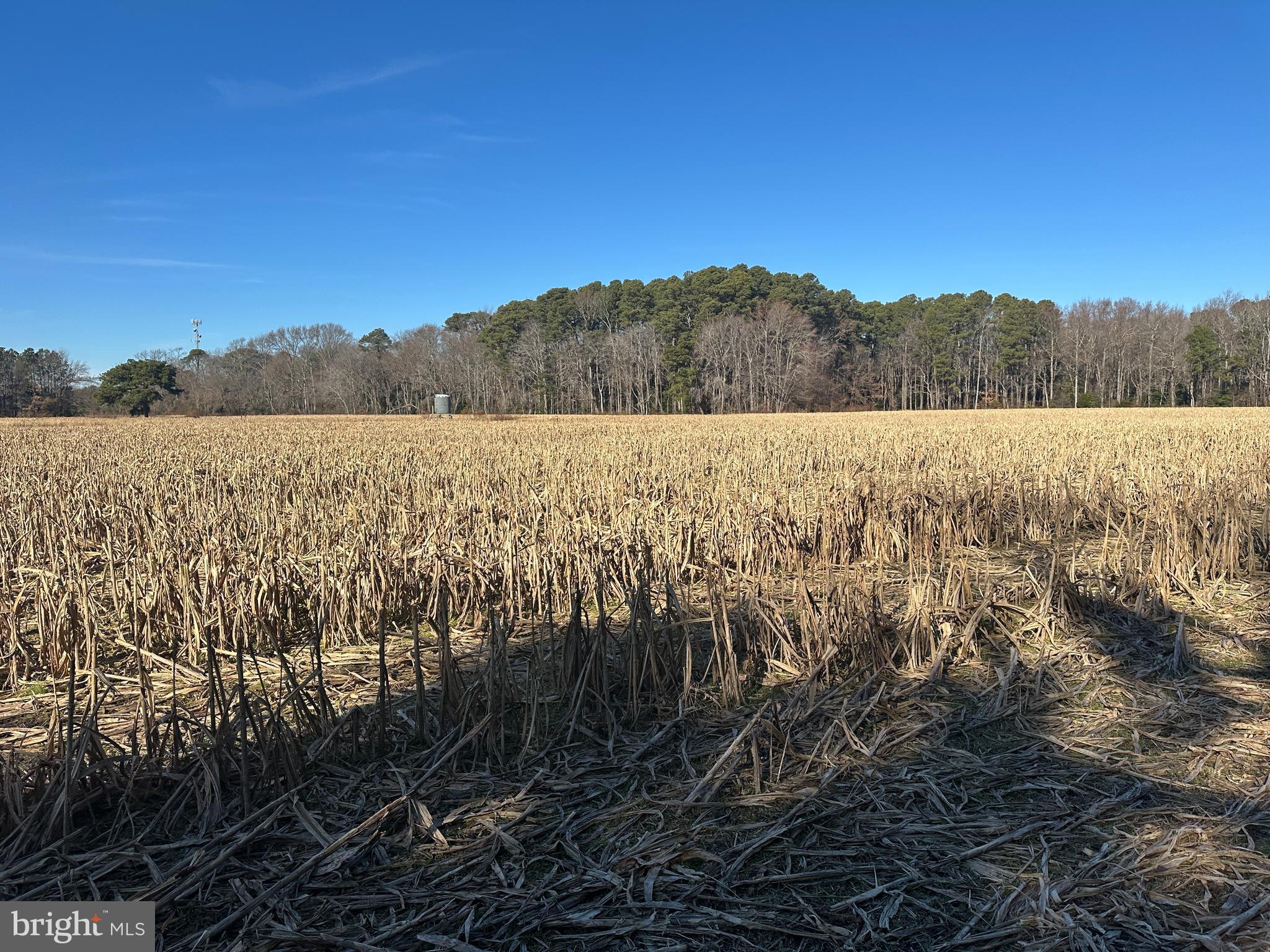 0 Bivalve Lodge Road Bivalve, MD 21814 - Photo 11 of 44