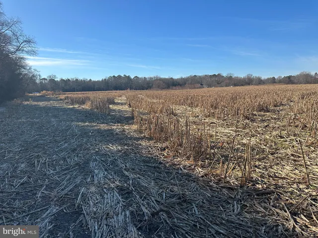 $149,000 | 0 Bivalve Lodge Road, Bivalve, MD 21814