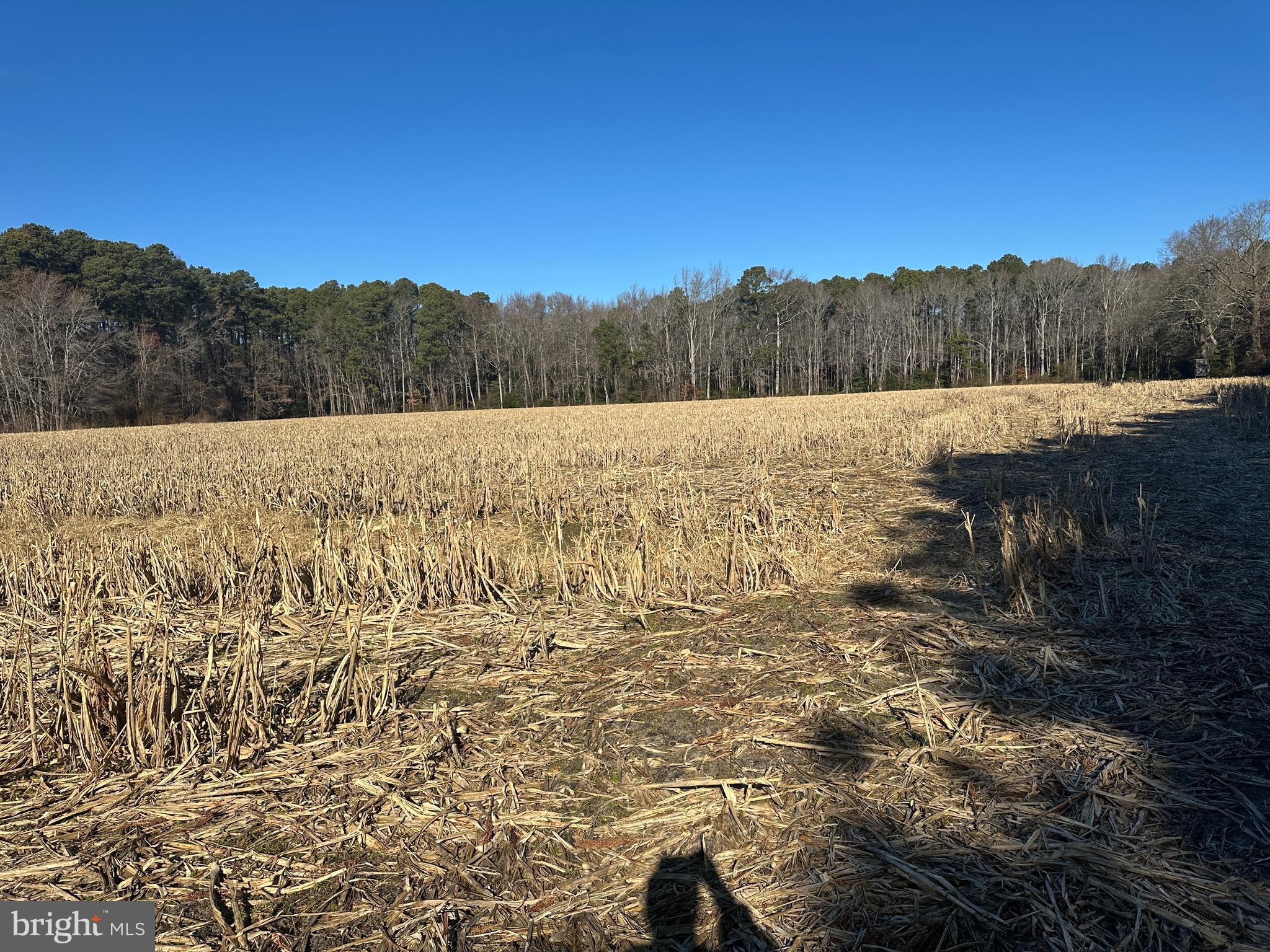 0 Bivalve Lodge Road Bivalve, MD 21814 - Photo 13 of 44