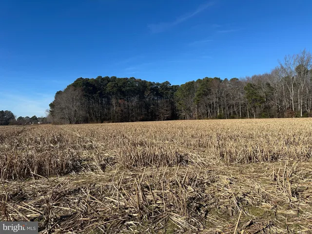 $149,000 | 0 Bivalve Lodge Road, Bivalve, MD 21814