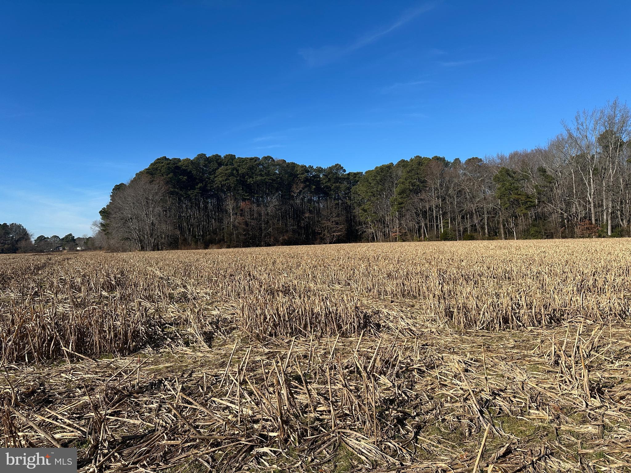 0 Bivalve Lodge Road Bivalve, MD 21814 - Photo 14 of 44