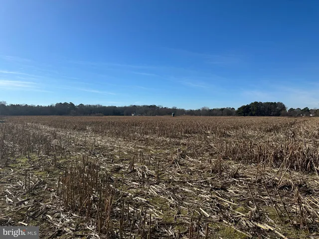 $149,000 | 0 Bivalve Lodge Road, Bivalve, MD 21814