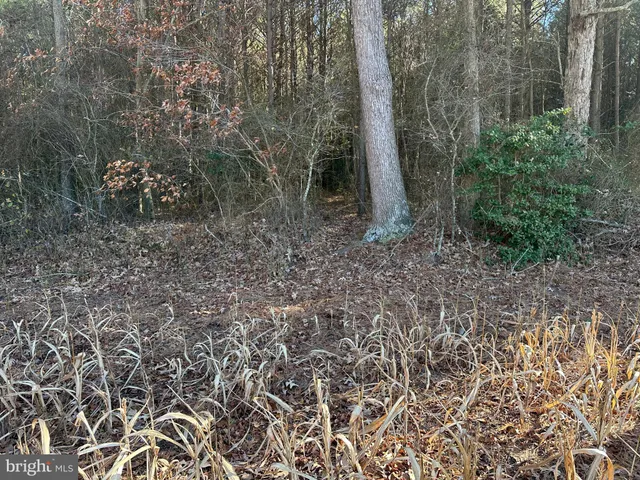 $149,000 | 0 Bivalve Lodge Road, Bivalve, MD 21814