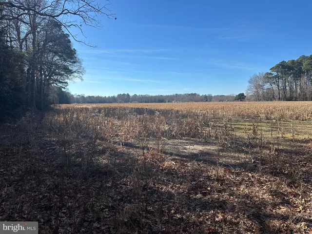 $149,000 | 0 Bivalve Lodge Road, Bivalve, MD 21814