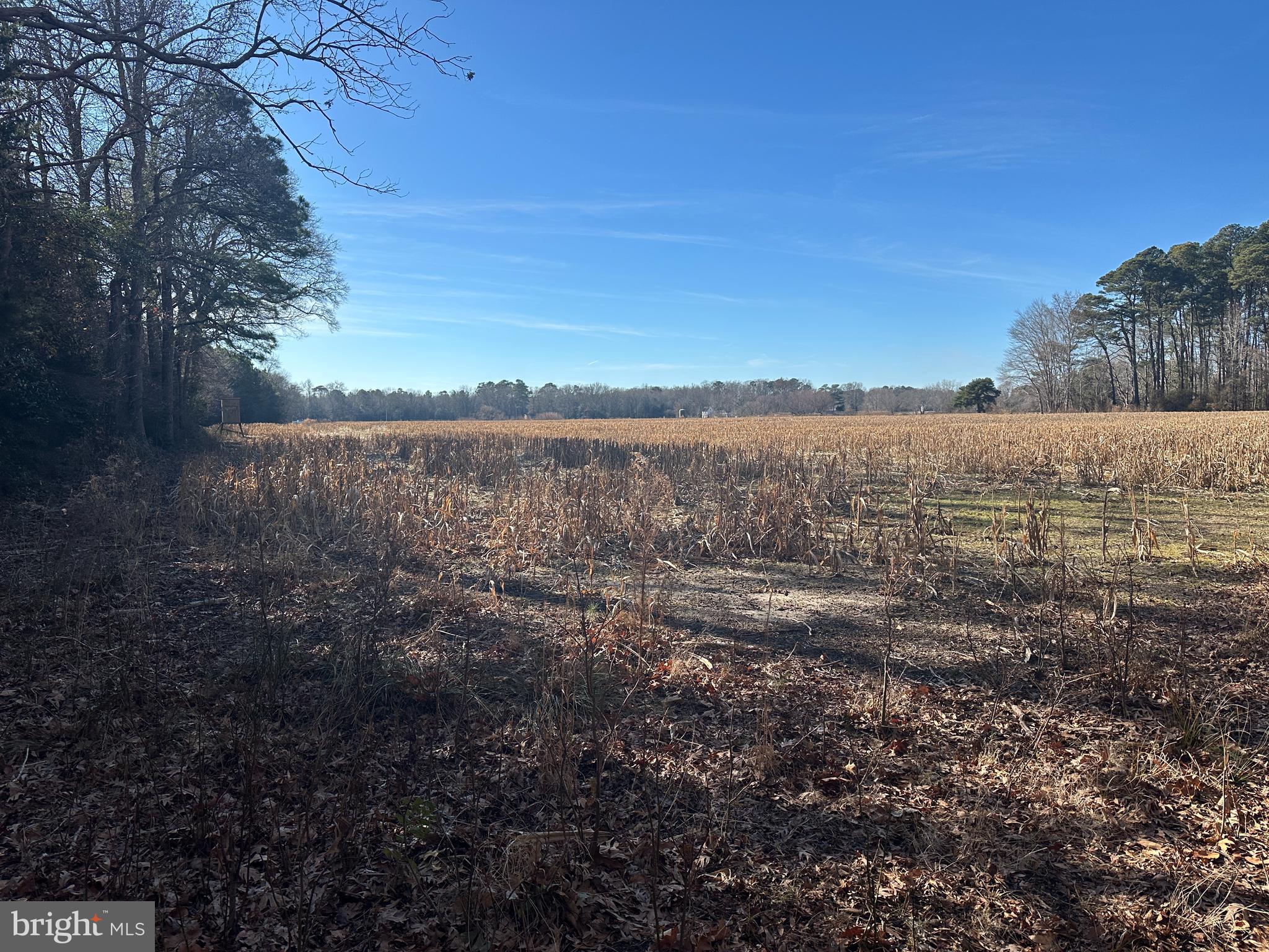 0 Bivalve Lodge Road Bivalve, MD 21814 - Photo 17 of 44