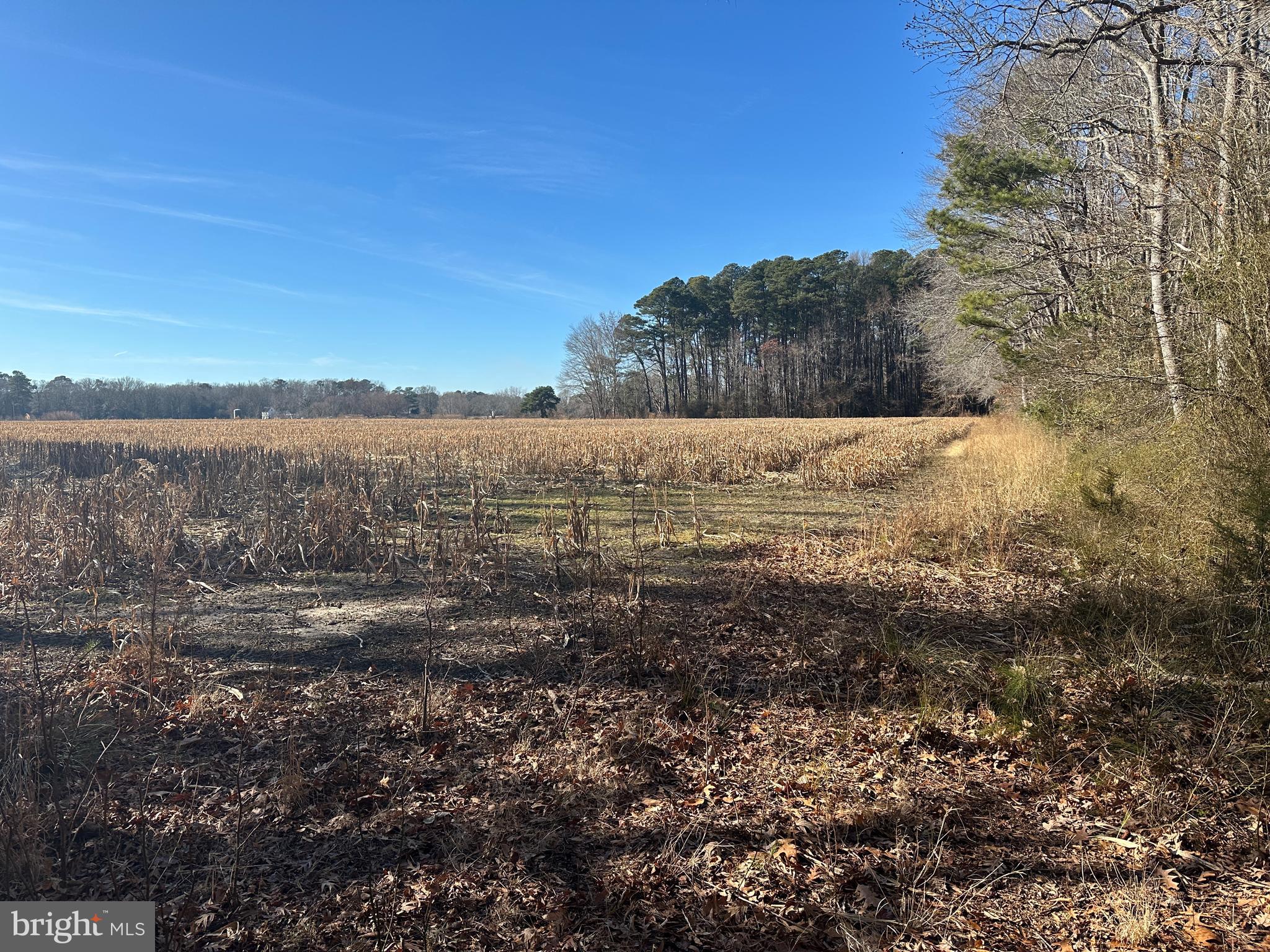 0 Bivalve Lodge Road Bivalve, MD 21814 - Photo 18 of 44