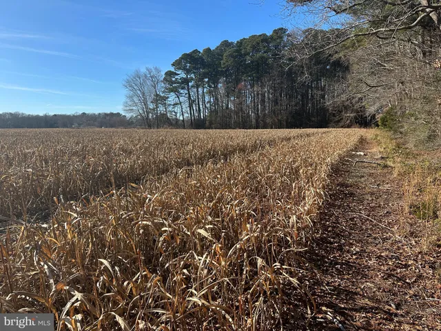 $149,000 | 0 Bivalve Lodge Road, Bivalve, MD 21814