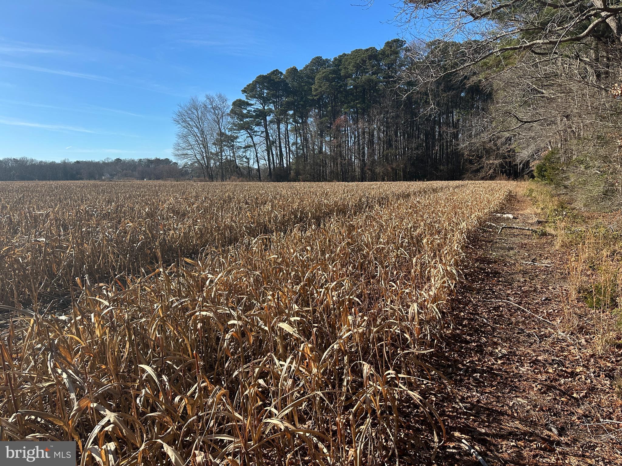 0 Bivalve Lodge Road Bivalve, MD 21814 - Photo 19 of 44