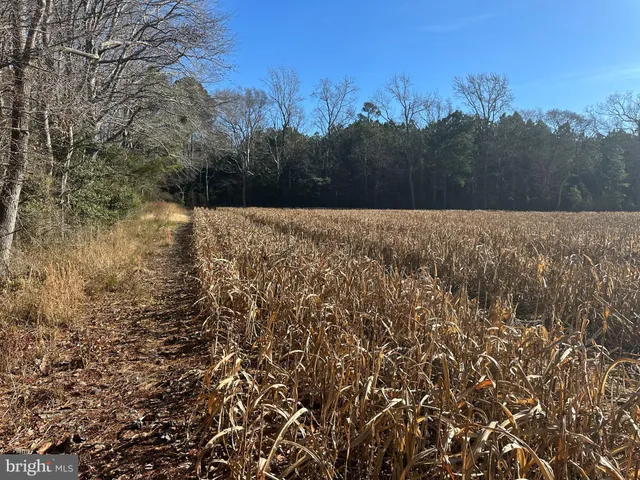 $149,000 | 0 Bivalve Lodge Road, Bivalve, MD 21814