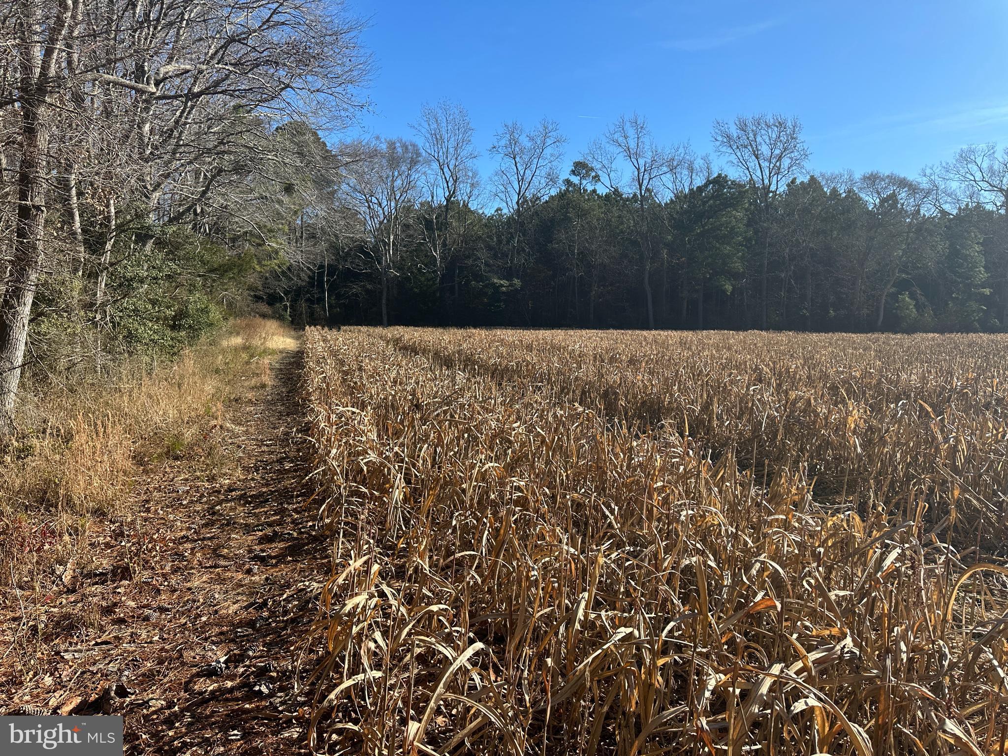 0 Bivalve Lodge Road Bivalve, MD 21814 - Photo 20 of 44