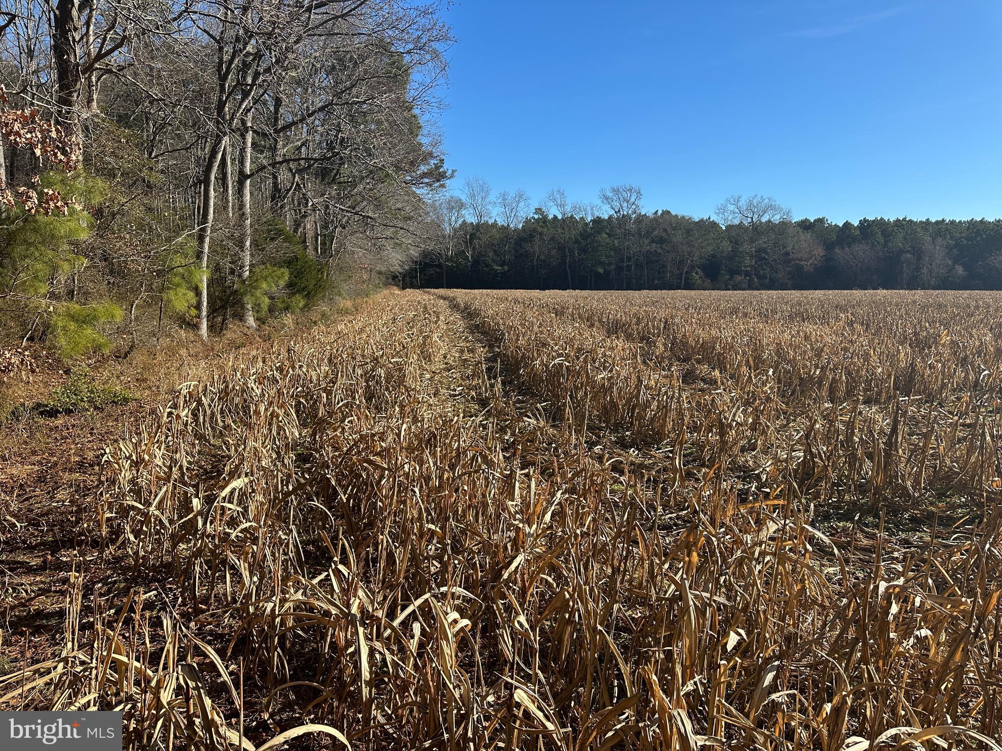 0 Bivalve Lodge Road Bivalve, MD 21814 - Photo 21 of 44