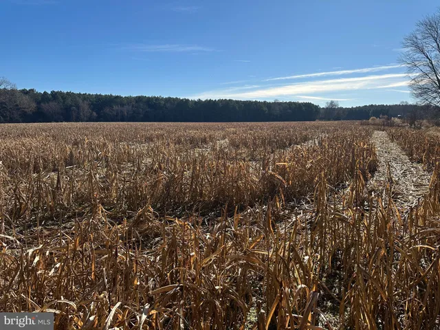 $149,000 | 0 Bivalve Lodge Road, Bivalve, MD 21814